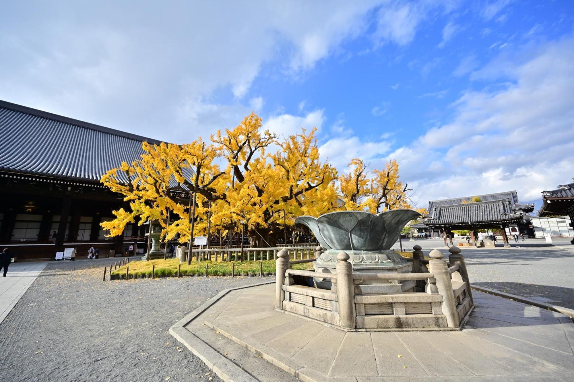 京都市 櫛笥ノ家 Machiya Kushigeヴィラ エクステリア 写真